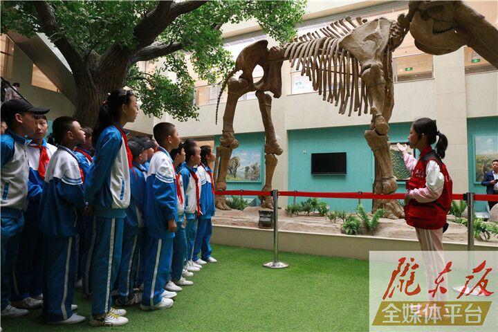 【第一眼】慶陽市博物館開展多項活動慶?！?·18國際博物館日”