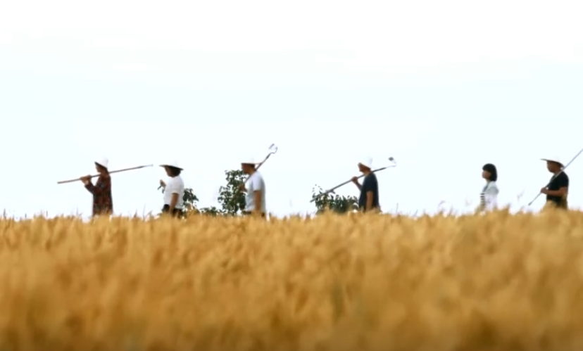 【脫貧攻堅第一線】看環縣關營村，花海、火龍果、生態雞、醬香驢……體驗走