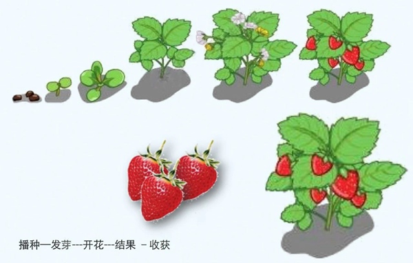 【防疫科普】如何利用園藝療法保持復工后身心健康？