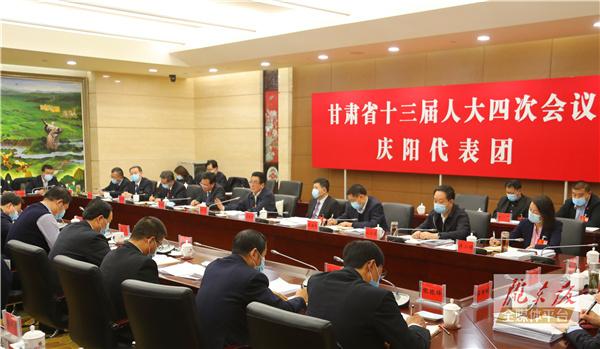 林鐸參加慶陽代表團審議時強調 立足資源稟賦 發揮比較優勢 在構建新發展格局中展現新作為