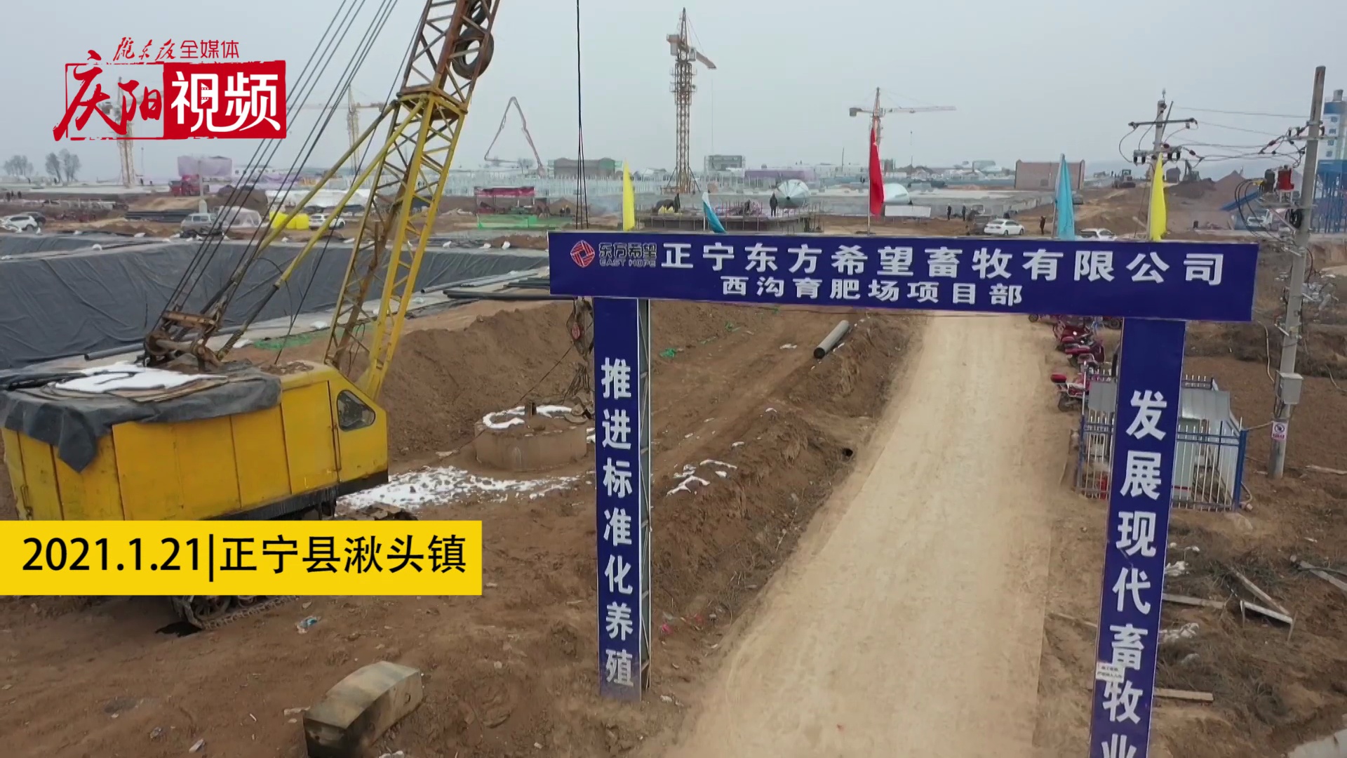 【新春走基層】年出欄將達6.25萬頭！正寧這個新建生豬育肥場了不得