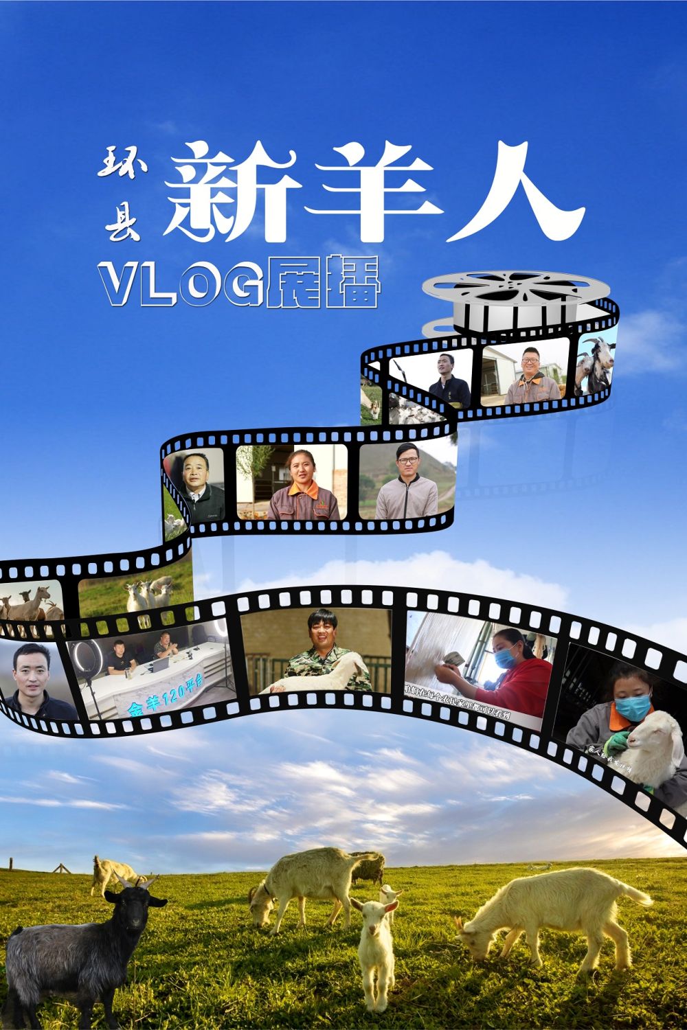 【環縣“新羊人”VLOG展播】“大學生養羊”殷亞運