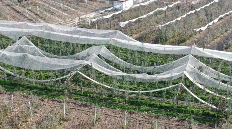 白馬鋪鎮肴子村宇洪洲瑞雪果園航拍圖。