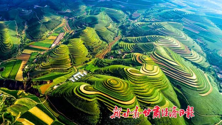 “羊”名立萬正當時——環縣念羊經、興羊業、發羊財促進鄉村振興發展