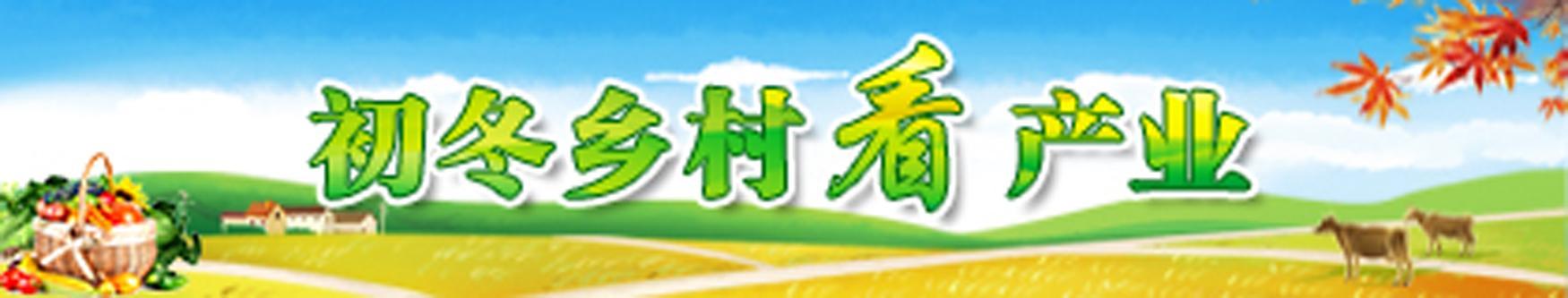 初冬鄉村看產業