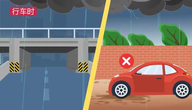 【MG動(dòng)畫】一起來學(xué)《反有組織犯罪法》！