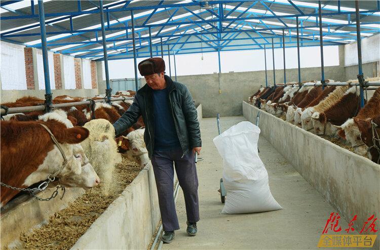 【新春走基層】養殖“父子兵” 念好“致富經”