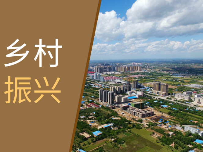 正寧縣 “四個抓牢”激活鄉村振興新動能