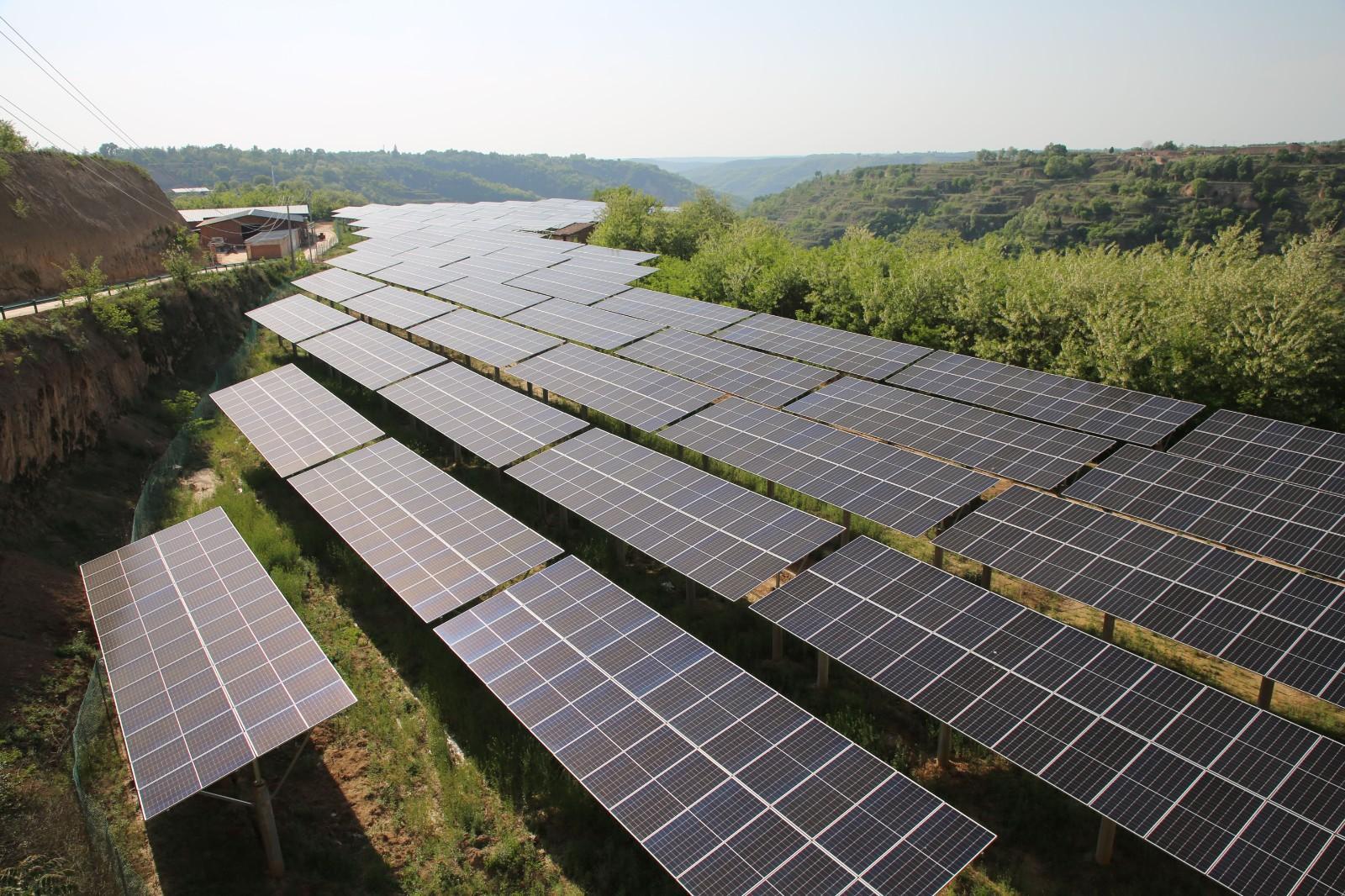 寧縣常邑村：“農光互補”促進綠色循環經濟發展
