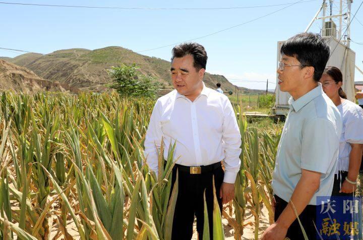 黃澤元在環縣調研抗旱減災工作時強調 科學分析研判 強化政策落實 采取有效措施 盡最大努力把旱災損失和影響降到最低