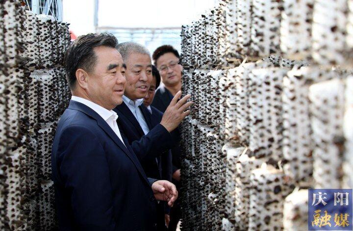 黃澤元在鎮原縣調研時強調 科技賦能推動農業提質增效 產業興旺帶動群眾增收致富