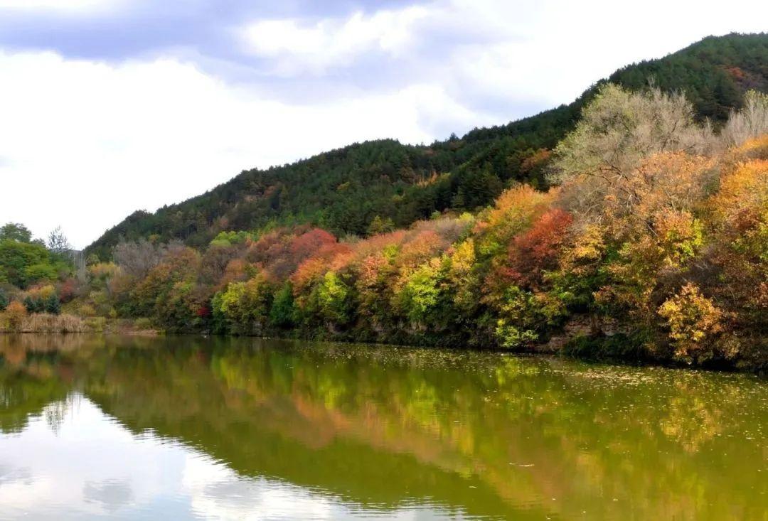 初冬，子午嶺上斑斕多姿，漫瀉大地