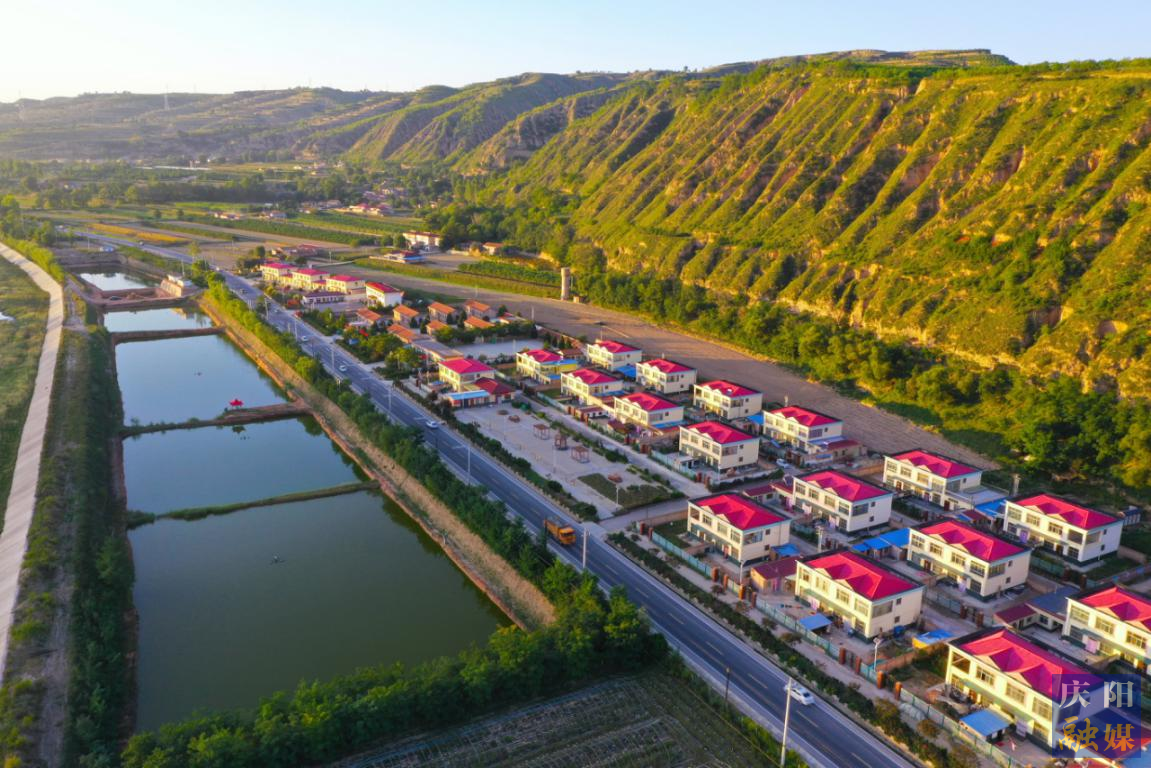 【鄉村行 看振興】廣袤田間播希望 美麗鄉村育動能 ——鎮原縣鄉村振興工作綜述