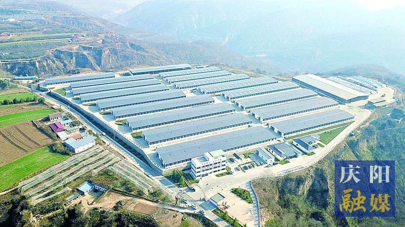 【鄉村行 看振興】希望的田野 豐收的畫卷——慶城縣全面推進鄉村振興工作紀實