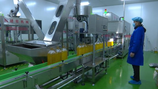 合水：產業帶動就業 助力鄉村振興