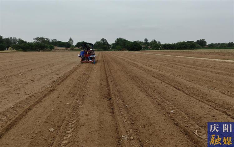 鎮原縣 春耕備耕開好局 不負農時不負春
