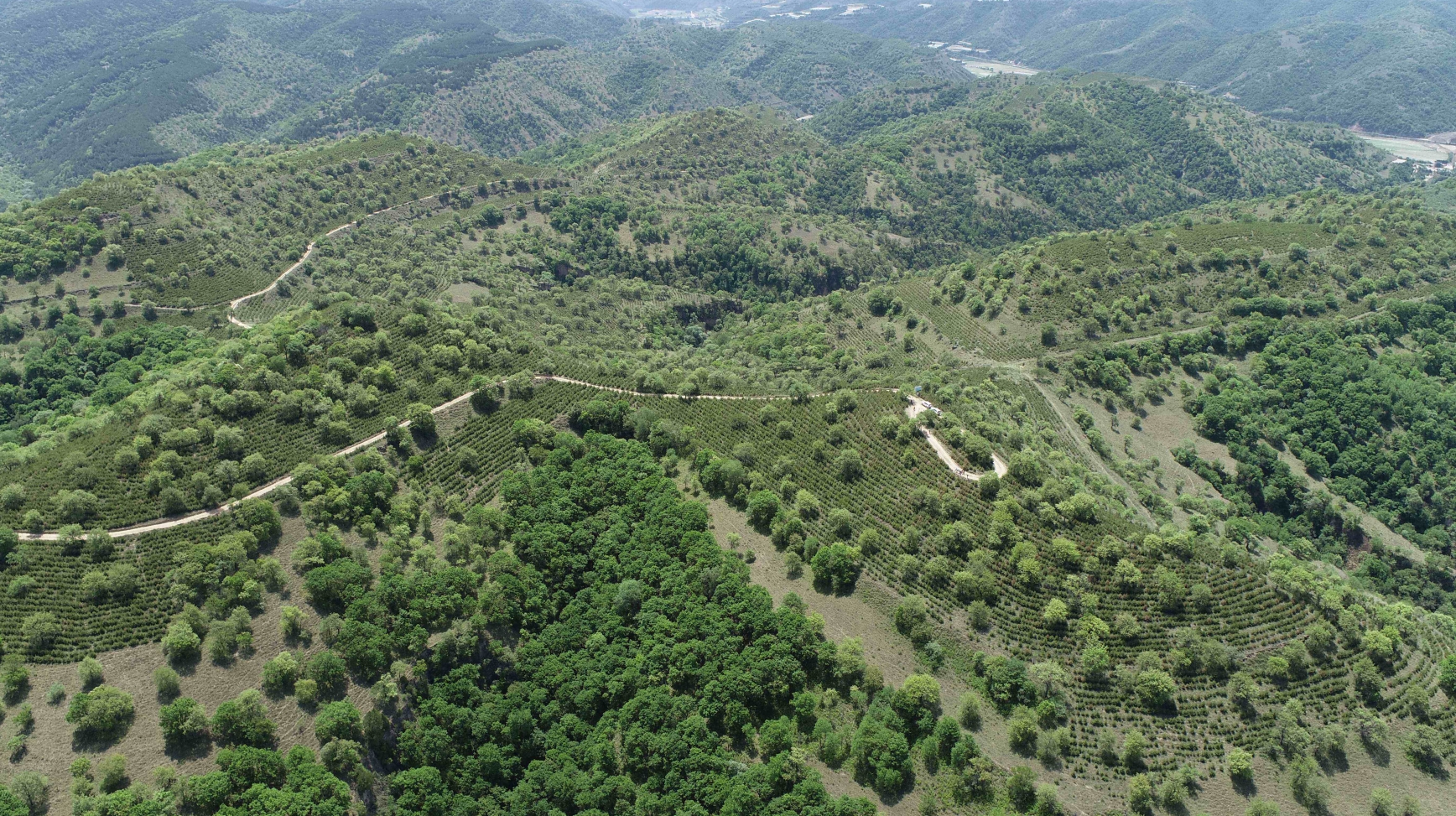 踐行綠色發展理念 構筑生態安全屏障——慶陽市林草生態建設工作綜述