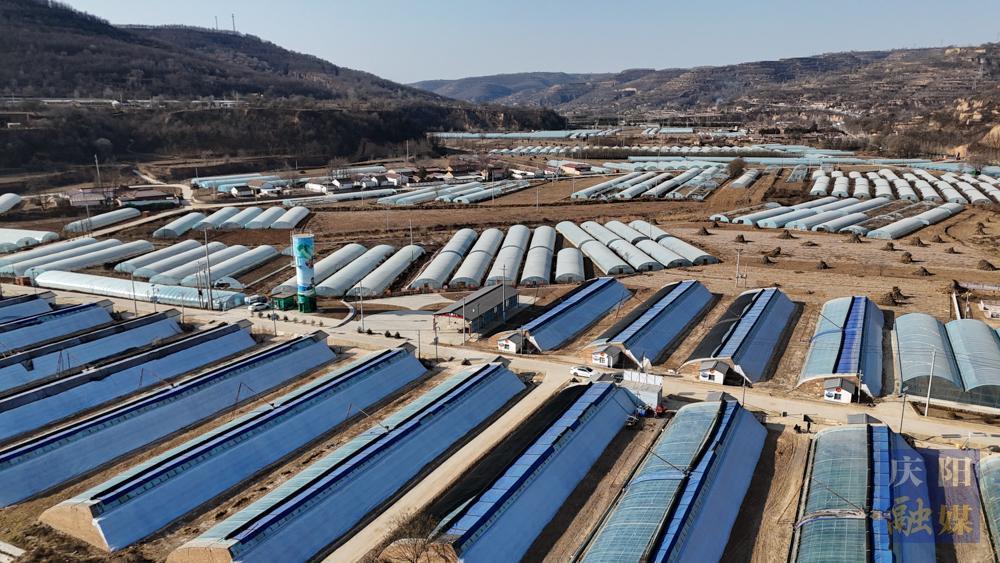 【新春走基層·攝影報道】合水：春未到，春已濃