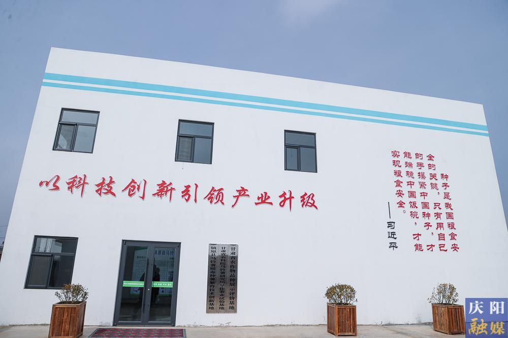 【攝影報道】馬鈴薯種薯繁育：賦能糧食優質高產 助力群眾就業增收