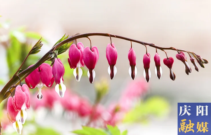 北地詩陣 | 詩四首（尚宗漢）