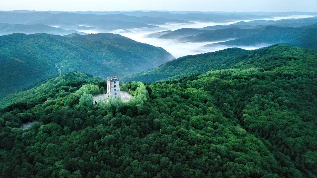 正寧縣干群攜手植綠 實現生態經濟雙贏