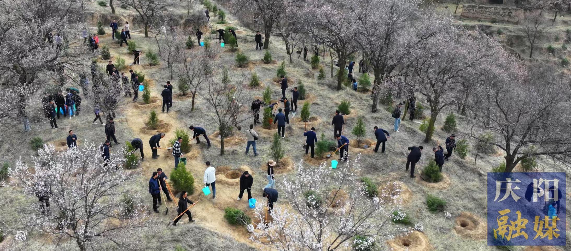 慶陽市市級機關義務植樹活動在西峰區舉行