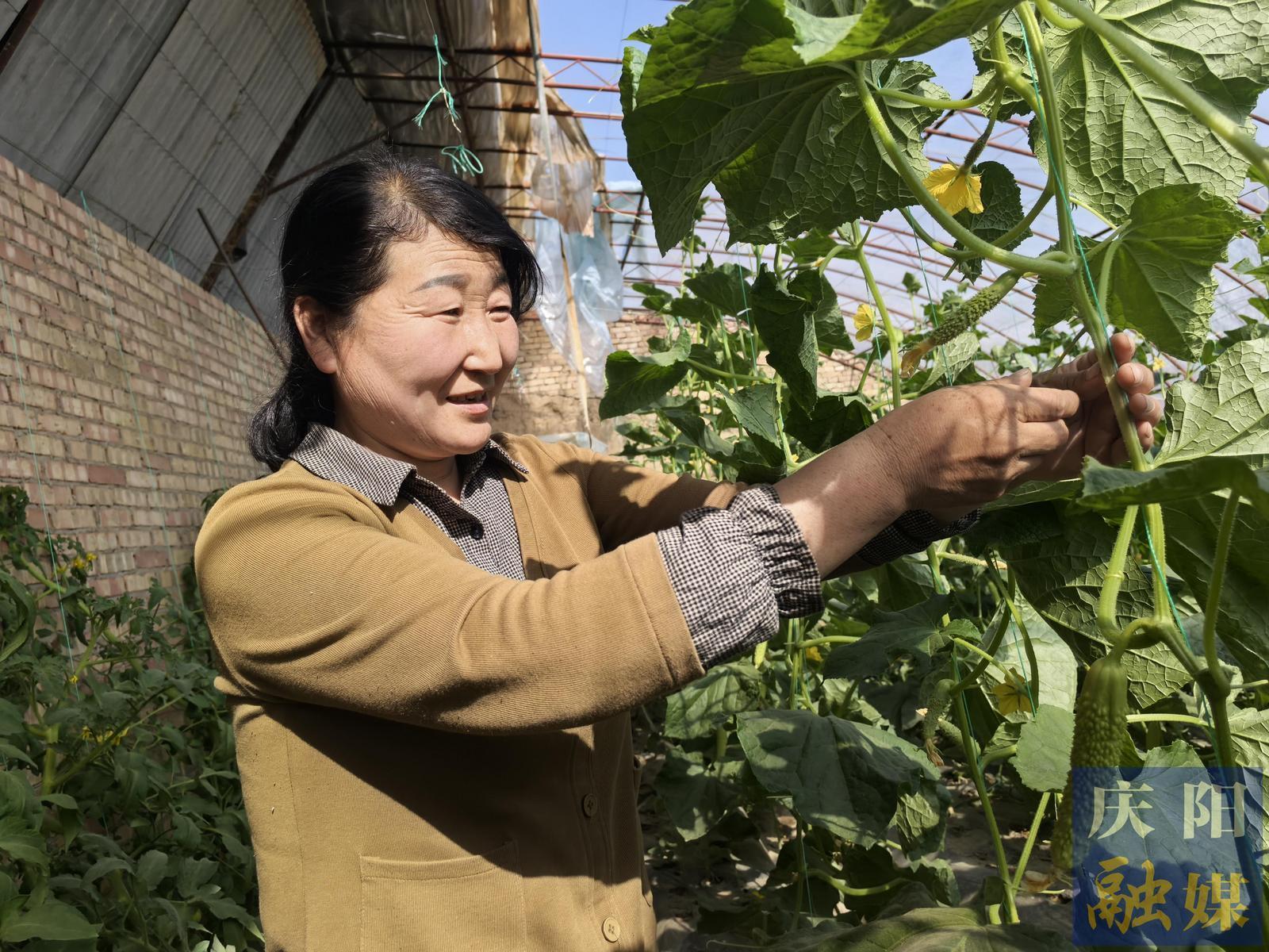 【春涌慶陽　塬上織錦】慶城玄馬鎮：立足產業優勢  打造綠色田園小鎮