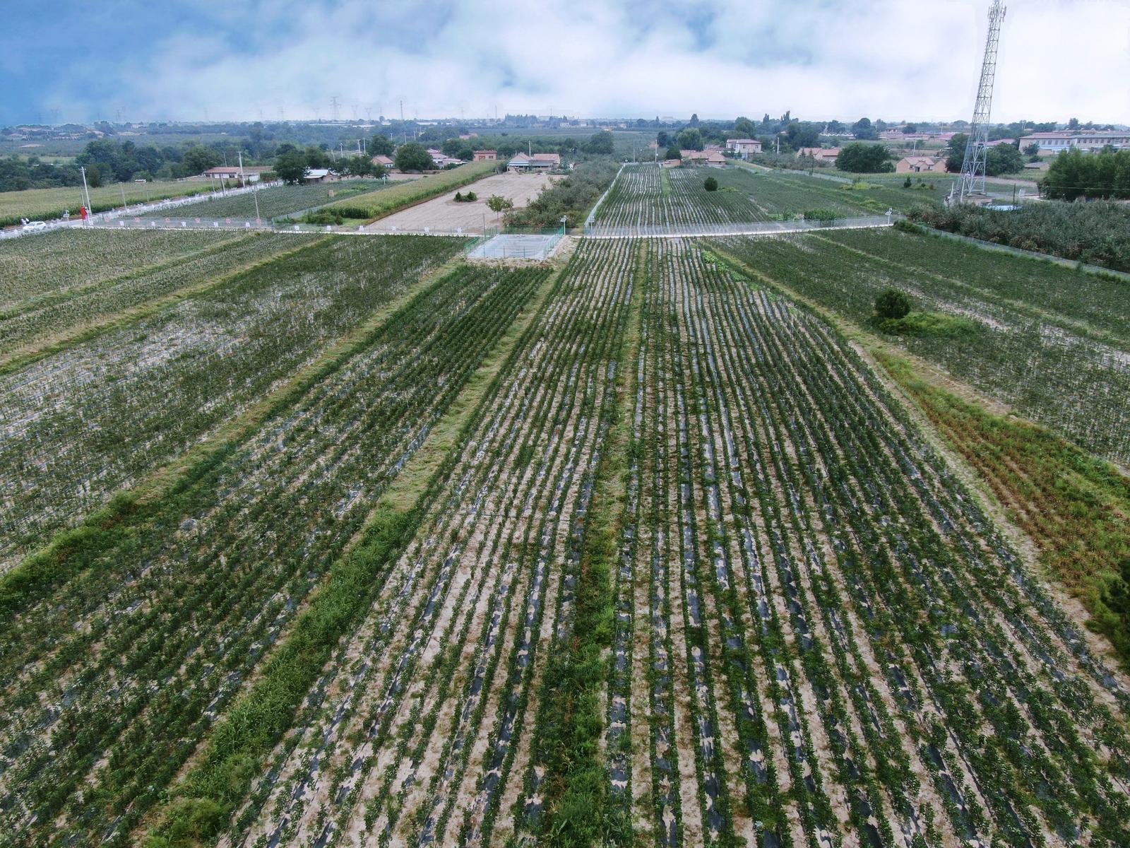 慶城白馬鋪鎮：聚力打造