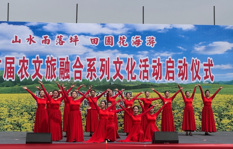 寧縣新莊鎮舉行首屆“山水雨落坪 田園花海游”系列文化活動啟動儀式