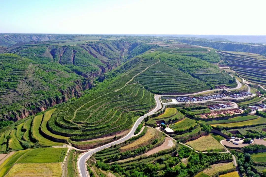 生態慶陽丨董志塬上書寫綠色答卷