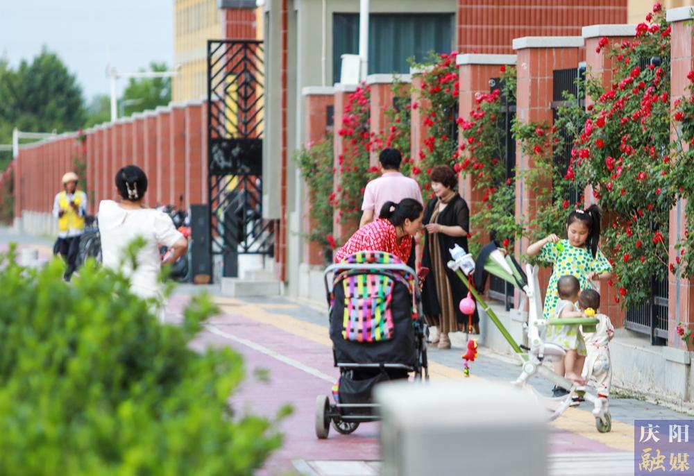 【攝影報道】薔薇花開！邂逅夏日的浪漫