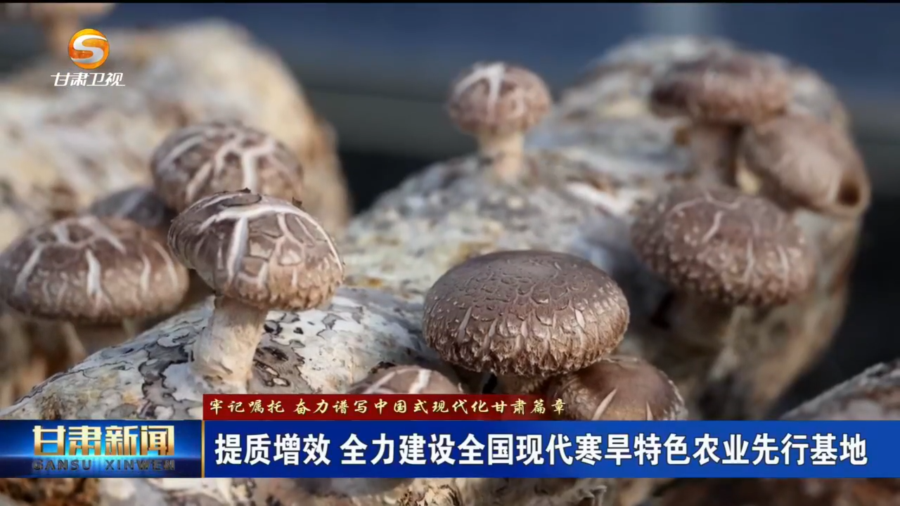 （牢記囑托 奮力譜寫中國式現代化甘肅篇章）提質增效 全力建設全國現代寒旱特色農業先行基地