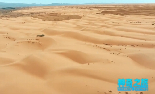 保衛黃河幾字彎