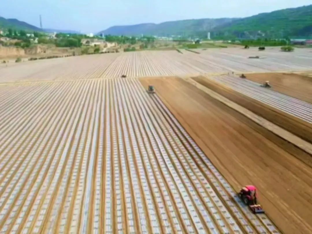 卅鋪鎮:書寫文明實踐新篇章 繪就幸福鄉村新畫卷