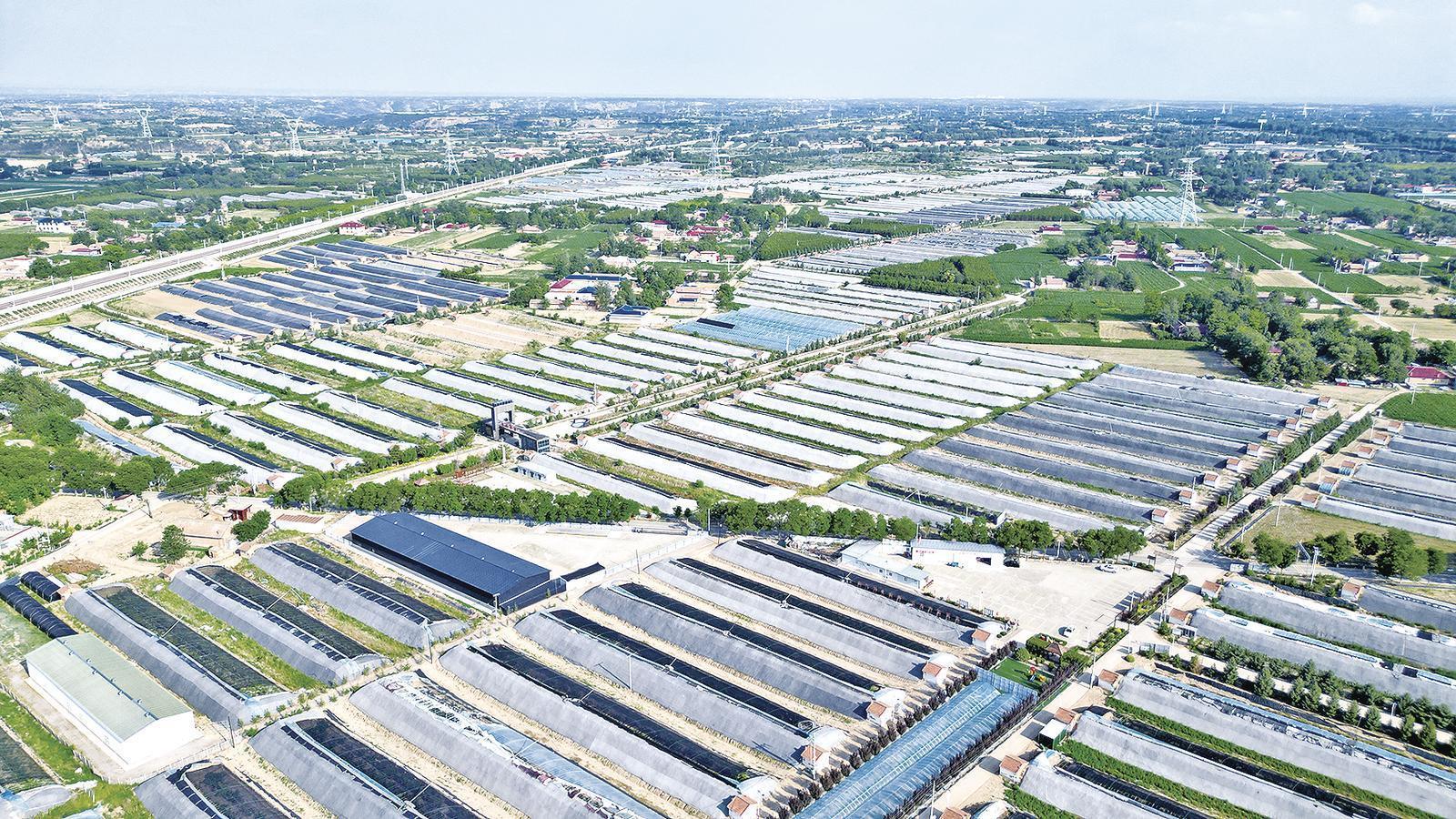 【隴東報(bào)·鄉(xiāng)村振興】慶陽(yáng)：“新農(nóng)人”變“興農(nóng)人”領(lǐng)航產(chǎn)業(yè)升級(jí)，激活鄉(xiāng)村振興“動(dòng)力源”！