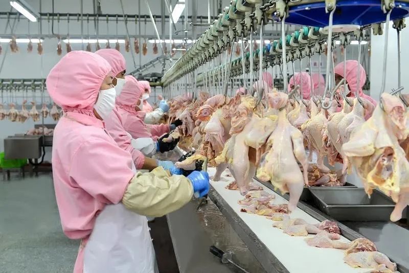 【媒體看鎮原】 學習強國報道——區縣新聞 | 慶陽市鎮原縣：夏季項目建設熱潮涌動