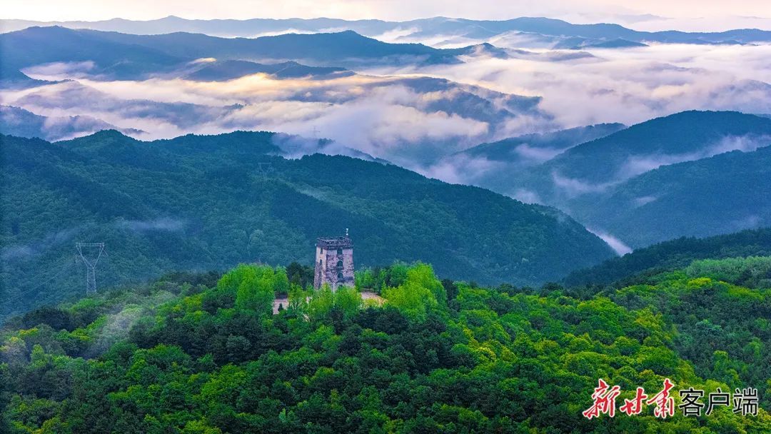 慶陽：雨后子午嶺繪就水墨生態(tài)畫卷