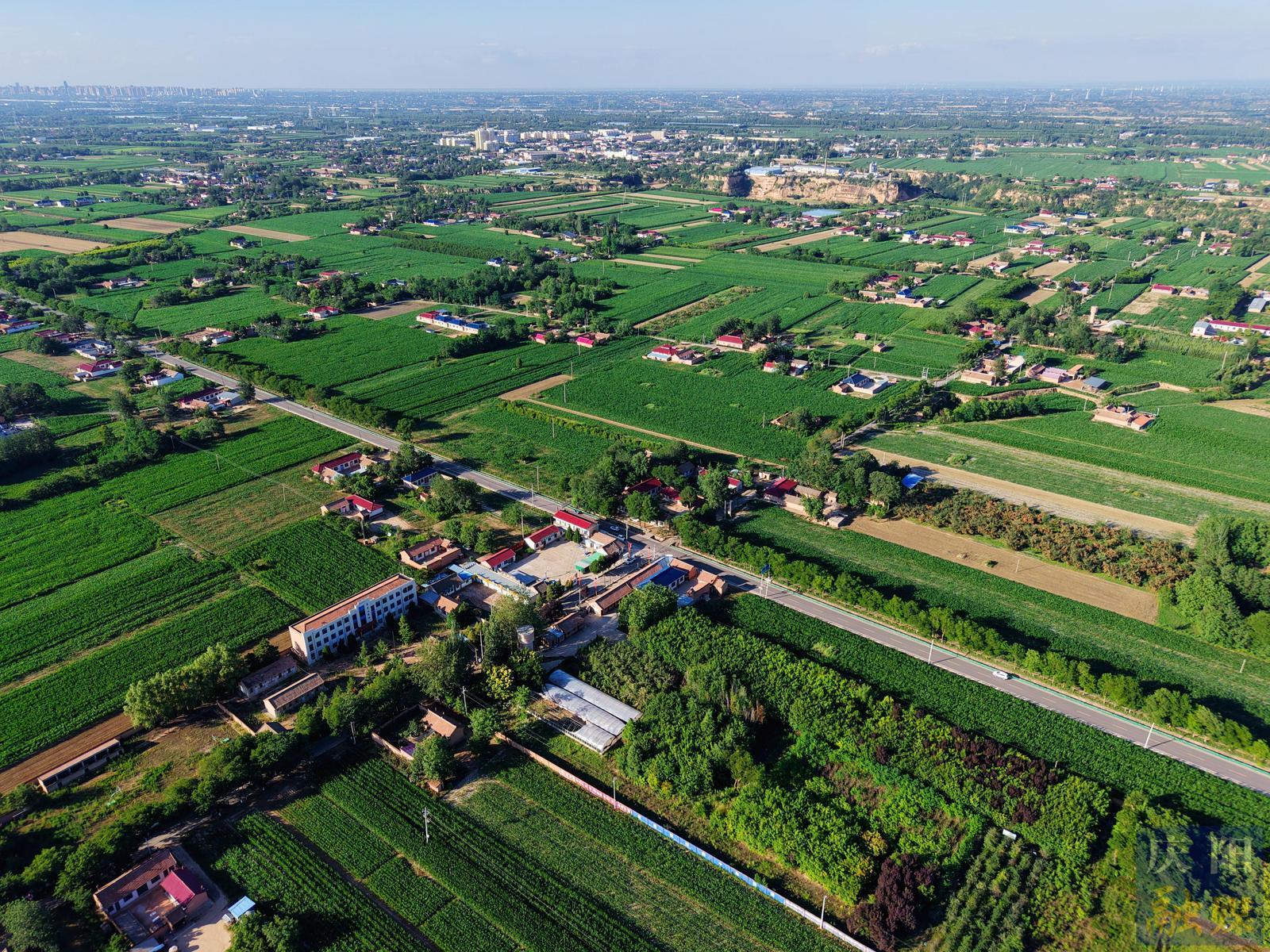 【圖說慶陽】西峰區：塬上夏綠如濤