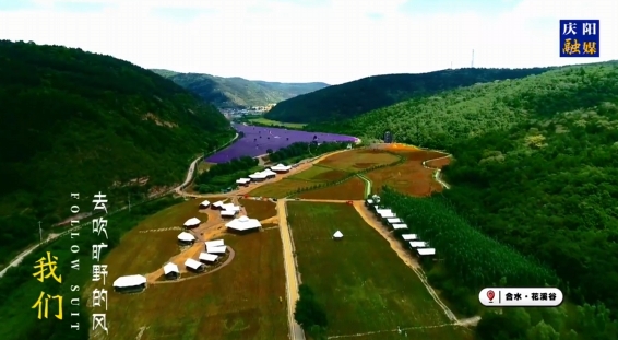 讓我們心向荒野，一起追風自由