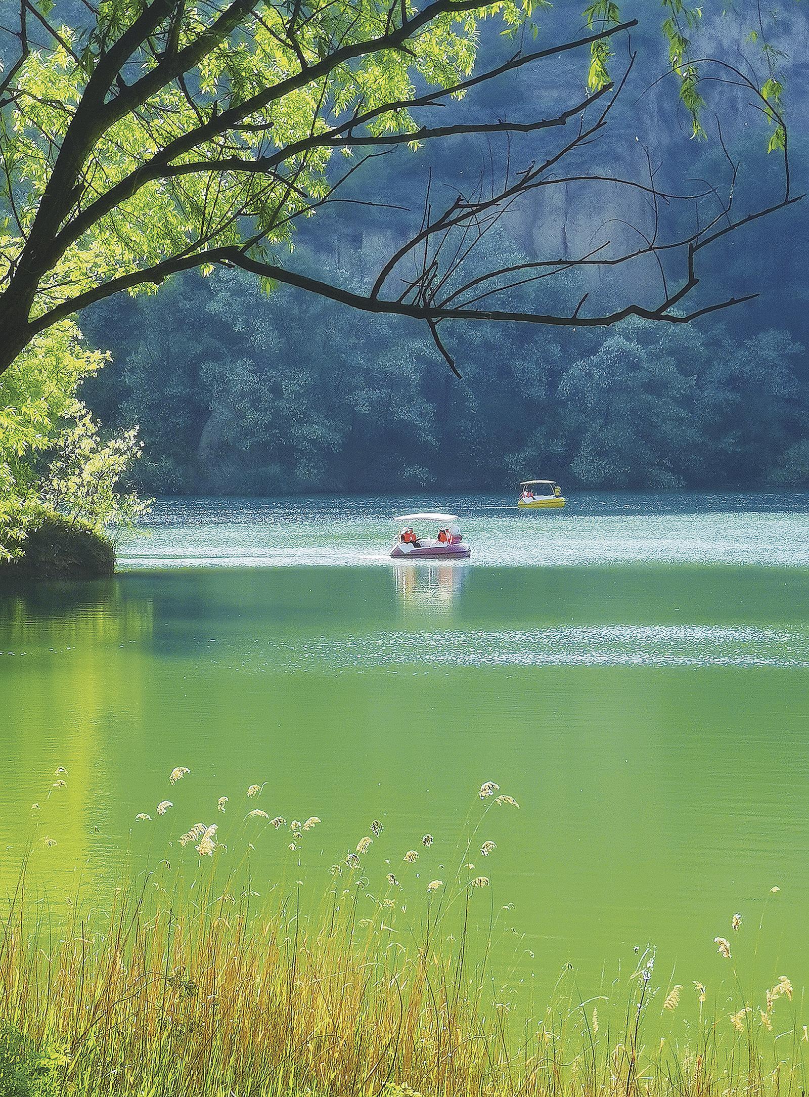【視覺慶陽】高原盛夏鋪錦繡