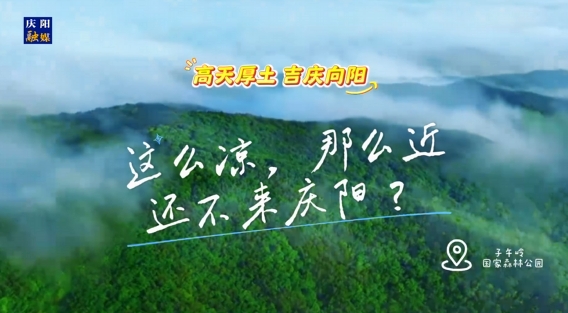 這么涼，那么近，還不來慶陽 ？——“天然氧吧”子午嶺國家森林公園歡迎您來！
