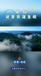 【全國生態日】合水：青綠是底色 更是可持續發展的生產力