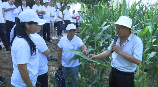 【全面推進鄉(xiāng)村振興 加快農(nóng)業(yè)農(nóng)村現(xiàn)代化】合水：技術(shù)培訓賦能田間管理助推糧油產(chǎn)能提升