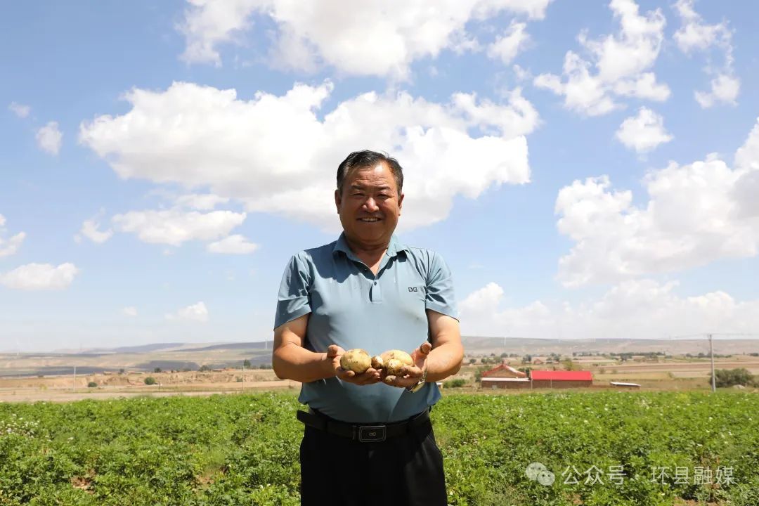 環縣：30萬畝馬鈴薯管護忙 豐收有“薯”光