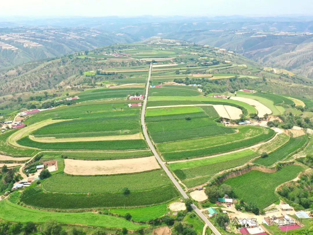 環縣多元產業齊發力 旱塬繪豐景