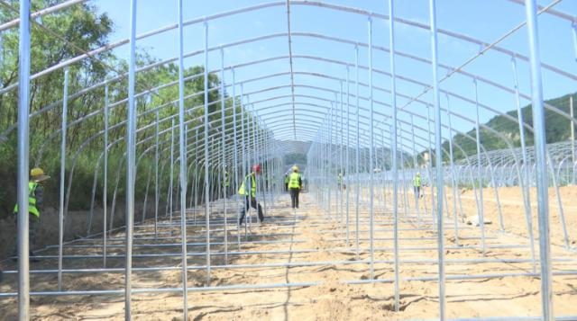 【全面推進鄉村振興 加快農業農村現代化】合水縣老城鎮木耳出口產業園建設加速推進