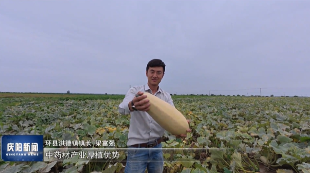 《慶陽新聞》2025年8月25日