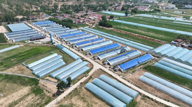 【黨旗引領新時代】合水：堅持黨建引領 推動村集體經濟持續壯大