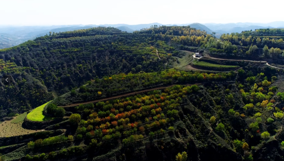 一點慶陽 | 漫步八珠塬（文/鞏曉鳴 誦/宋飛）