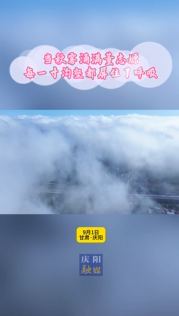 當秋霧涌滿董志塬，每一寸溝壑都屏住了呼吸